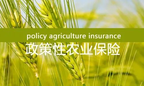 北京市农业农村局-政策性农业保险项目龙八国际娱乐官方网站服务采购项目中标公告